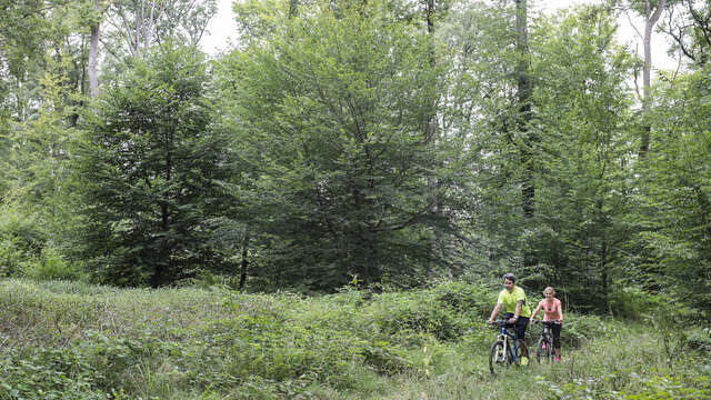 Les Abbayes à V.T.T.