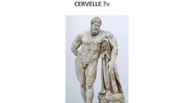 Conférence « HERACLES (HERCULE), UNE BRUTE SANS CERVELLE ? »