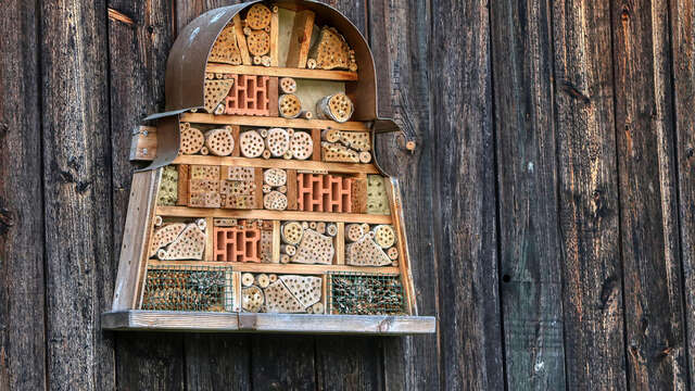 Sortie nature à Vesles-et-Caumont : "Des abris pour les petites bêtes"