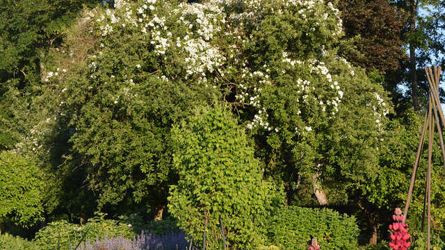 Du Val Saint-Pierre à la Paix Notre-Dame