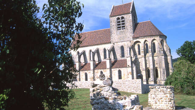 Le coteau des orchidées