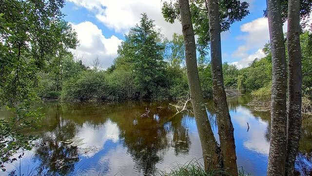 Sortie nature à Laon : "Ambiance estivale dans le marais"