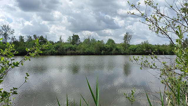 Sortie nature à Liesse-Notre-Dame : "Les oiseaux en liesse !"