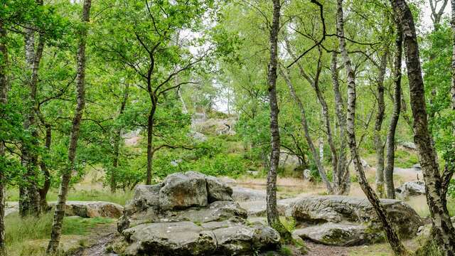 La Hottée du Diable a V.T.T.