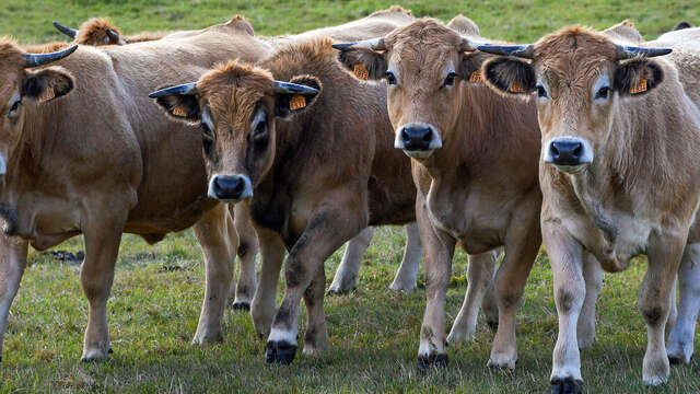 La ferme de Challouet