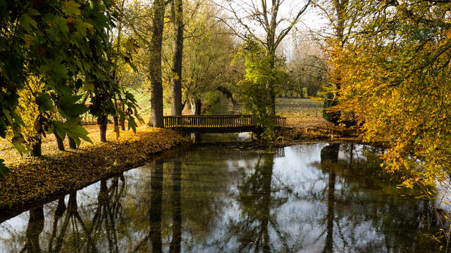 Les sources de la Somme