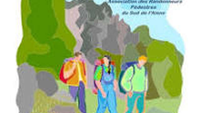 Les Randos dans le vignoble : les vignes castelles