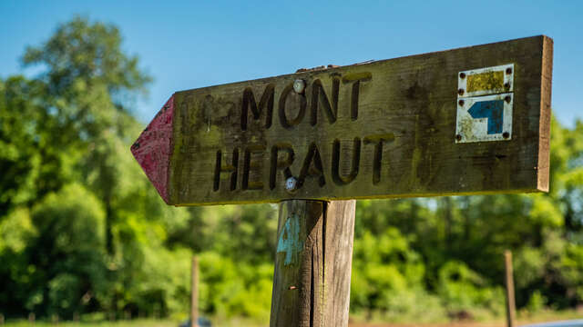 Le Mont Héraut