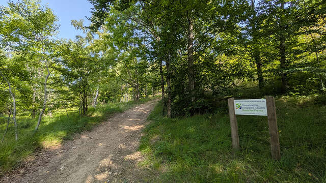 Au-dessus des creuttes de Neuville