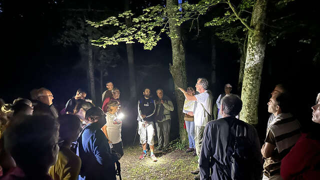 COMPLET // Randonnée nocturne sur le Chemin des Dames
