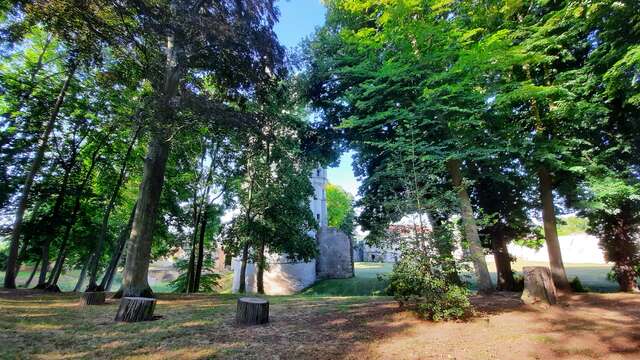 Parc du donjon de Septmonts