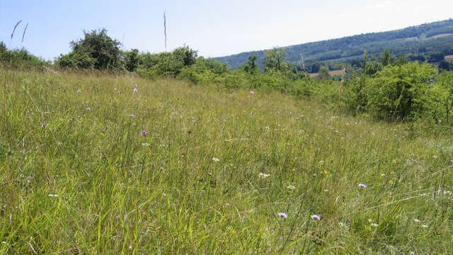Chantier nature à Trucy : "Traditionnel chantier au savart !"