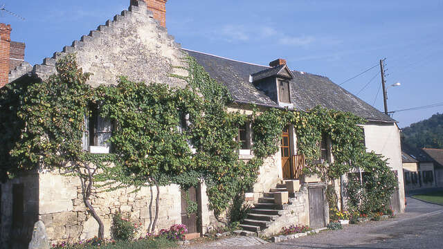 Les vendangeoirs à VTT