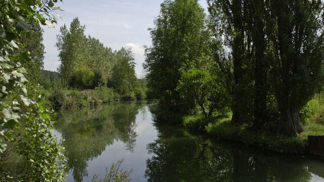 Les méandres de la Serre