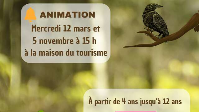 Anim'ateliers - Les Fables cachées / Les histoire jouent à cache-cache