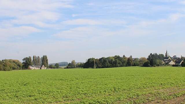 Du côté du terroir
