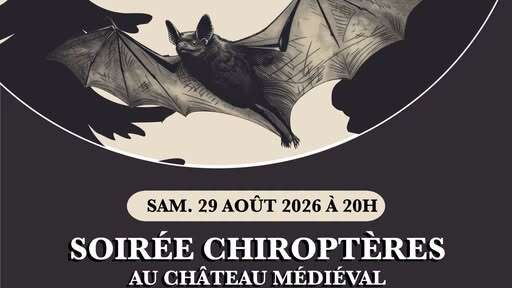Soirée chiroptères à Château-Thierry COMPLET