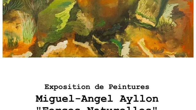 Exposition Miguel-Angel Ayllon du 06/08 au 21/09/2025.