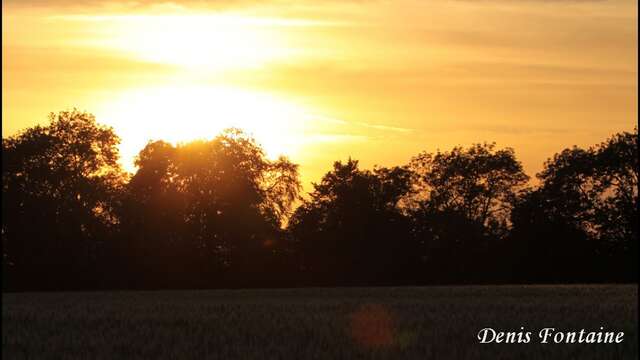Crépuscule en Retz
