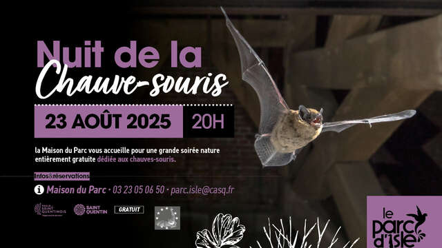 Nuit de la chauve-souris au Parc d'Isle à Saint-Quentin : conférence et sortie nature