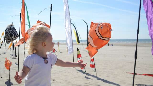 Atelier de fabrication de cerf-volant