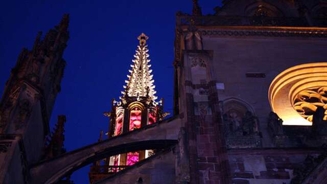 Stiftskirche Sankt Theobald