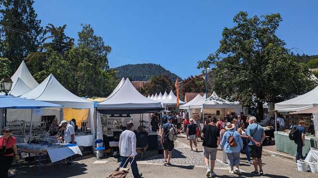 61. Ausgabe: Mineral & Gem - Nuances de Fer