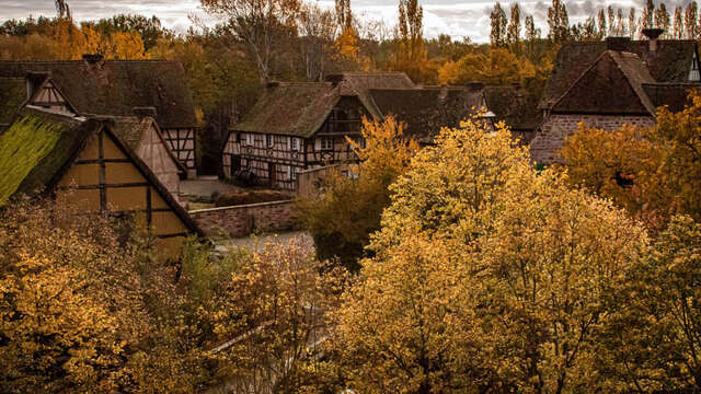 Märchen und Legenden des Herbstes