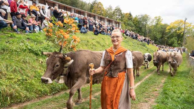 Transhumance festival