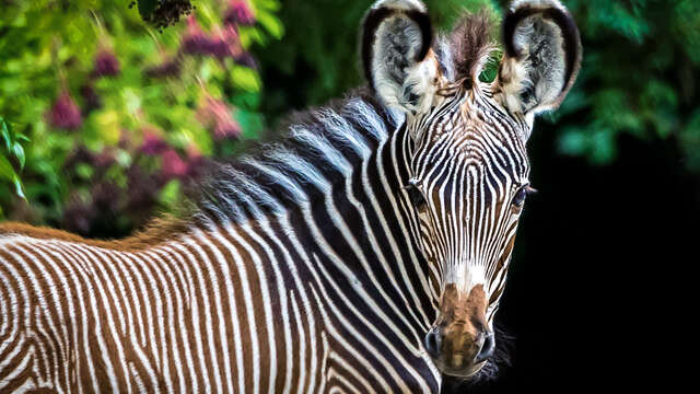 Parc zoologique et botanique