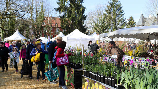 Marché aux plantes