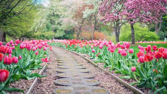 Salon Extérieurs et Jardin et Ma planète bio