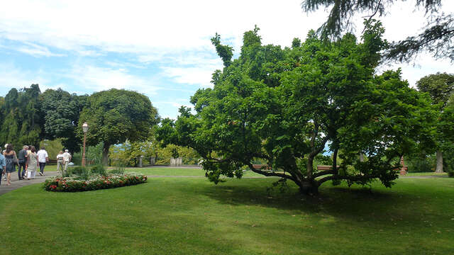Square du réservoir