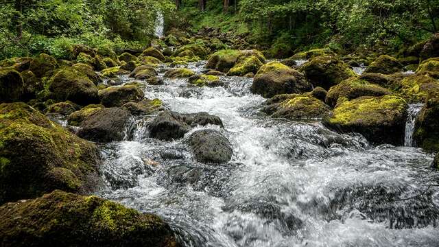 Nature outing: discovering the Old Thur river