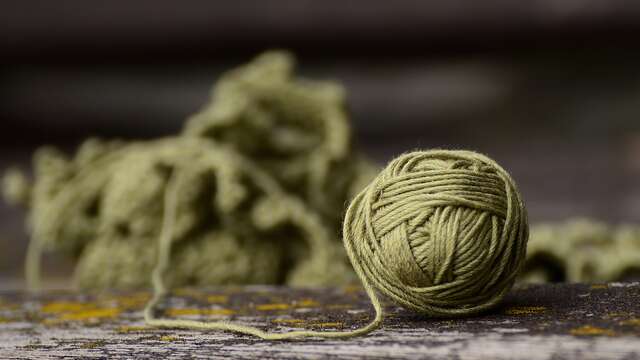 Atelier : Pompons animaux