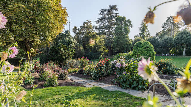 Visite guidée : Mimétisme et camouflage