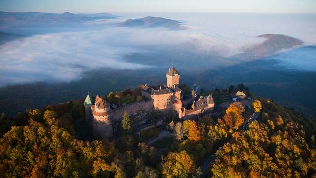 Château du Haut-Koenigsbourg