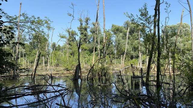 Petite Camargue Alsacienne
