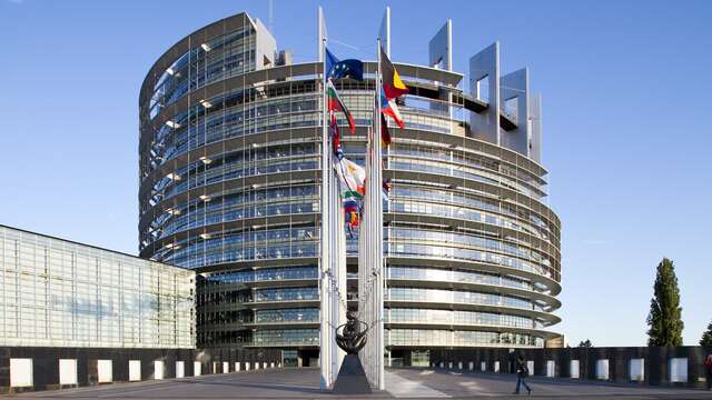 Das Europäische Parlament