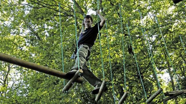 L'aventure dans les arbres