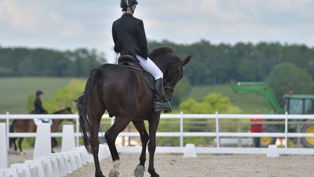 Concours de dressage