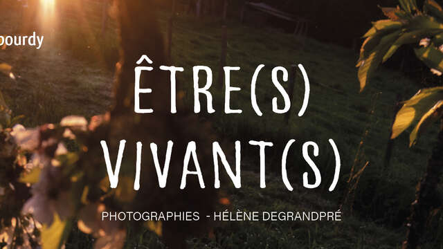 Expositions : Être(s) Vivant(s) - Photographies - Hélène Degrandpré