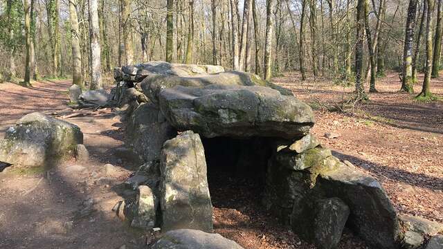 Allée couverte, mégalithes