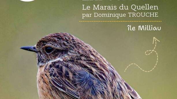 Exposition extérieure - Le marais du Quellen