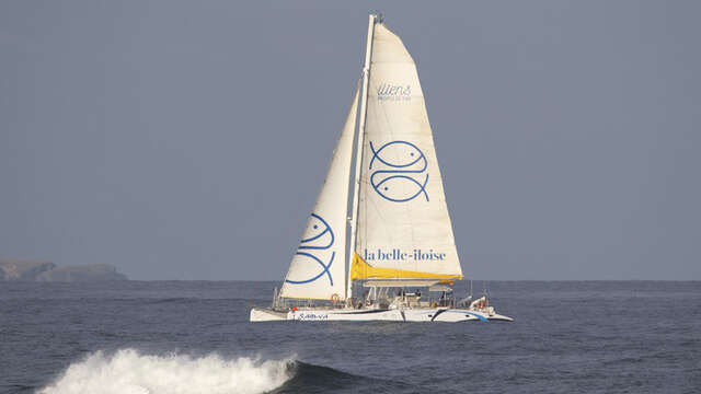Compagnie Maritime Iliens