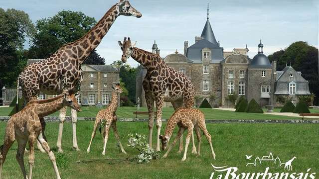 Château et Jardins de la Bourbansais - Parc Zoologique
