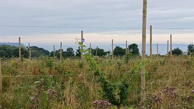 Visite de la Ferme "Les Fruits d'Arthur"