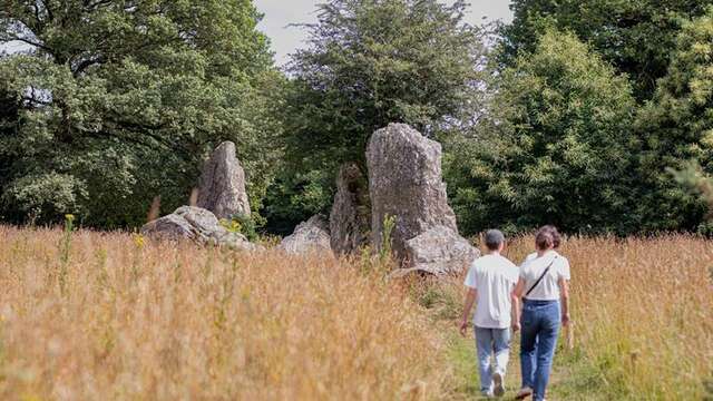 Alignement de menhirs de Lampouy