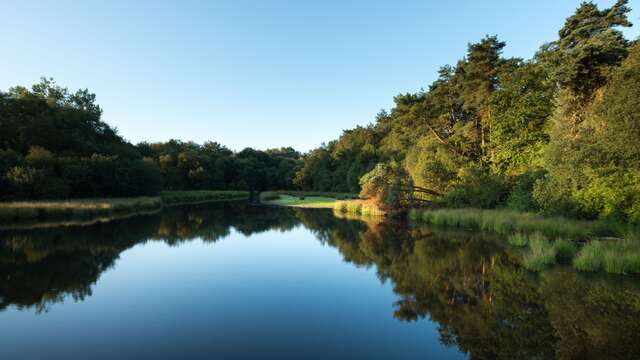 Tour de l'étang de Paimpont