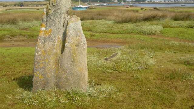 Menhir de Toeno